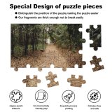 yanfind Picture Puzzle Road Forest Alley Wood Tree Campinas Stone Brick Flora Fall Trees Season Family Game Intellectual Educational Game Jigsaw Puzzle Toy Set