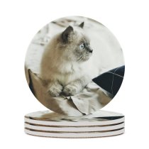 yanfind Ceramic Coasters (round) City Lovely Eyes Images Kitty Pet  Siamese Wallpapers Free Minh Pictures Family Game Intellectual Educational Game Jigsaw Puzzle Toy Set