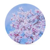 yanfind Ceramic Coasters (round) Flowers Magnolia Tulips Flowers Spring Beautiful Family Game Intellectual Educational Game Jigsaw Puzzle Toy Set
