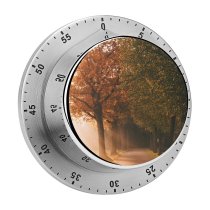 yanfind Timer Autumn Sunlight  Rays Foggy Morning Road Sunrise Trees 60 Minutes Mechanical Visual Timer