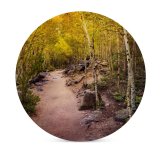 yanfind Ceramic Coasters (round) Collins Aspen Trees Pathway Forest Rocks Trails Beautiful Family Game Intellectual Educational Game Jigsaw Puzzle Toy Set