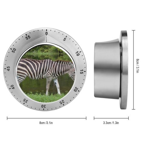 yanfind Timer Images Country Fl Wildlife Wallpapers Safari Stock Loxahatchee Free Stripes Zebra Pictures 60 Minutes Mechanical Visual Timer
