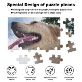 yanfind Picture Puzzle Dog Dogs Golden Vertebrate Canidae Facial Expression Snout Nose Carnivore Family Game Intellectual Educational Game Jigsaw Puzzle Toy Set
