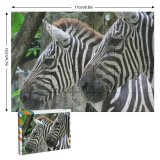 yanfind Picture Puzzle Zebras Africa Zebra Terrestrial Wildlife Vertebrate  Snout Organism Family Game Intellectual Educational Game Jigsaw Puzzle Toy Set