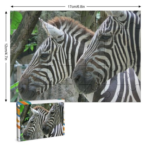yanfind Picture Puzzle Zebras Africa Zebra Terrestrial Wildlife Vertebrate  Snout Organism Family Game Intellectual Educational Game Jigsaw Puzzle Toy Set