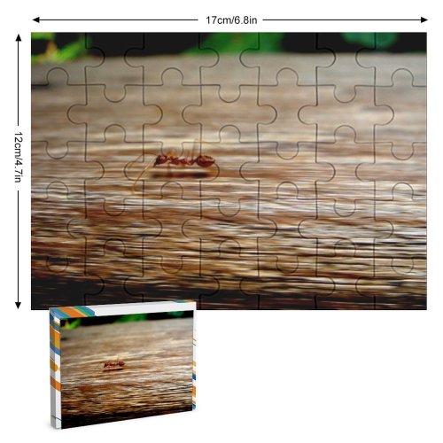 yanfind Picture Puzzle Ant Deligent Deligence Work Busy Hurry Anteater Insect Wood Calm Pest Macro Family Game Intellectual Educational Game Jigsaw Puzzle Toy Set