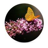 yanfind Ceramic Coasters (round) Flowers Fritillaries Butterfly Flowers Selective Focus  Closeup Family Game Intellectual Educational Game Jigsaw Puzzle Toy Set