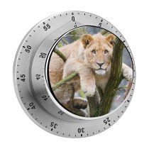 yanfind Timer Tambako Jaguar Young Lioness Cub Tree Branches Big Cat Lion  Carnivore 60 Minutes Mechanical Visual Timer