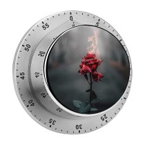 yanfind Timer Vadim Sadovski Flowers Rose Flower Fire Burning Dark 60 Minutes Mechanical Visual Timer