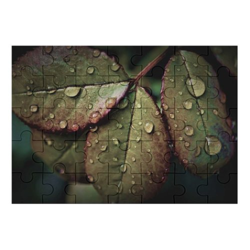 yanfind Picture Puzzle  Leaves Rainy Drops Closeup Macro  HDR Family Game Intellectual Educational Game Jigsaw Puzzle Toy Set
