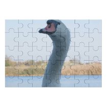 yanfind Picture Puzzle  Lake Bird Beak Ducks Geese Swans Waterfowl Neck Waterway Wildlife Family Game Intellectual Educational Game Jigsaw Puzzle Toy Set