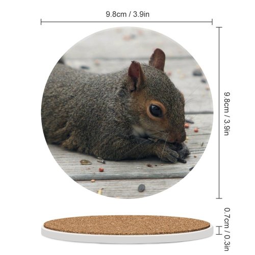yanfind Ceramic Coasters (round) Squirrel Grey Outdoors Fur Ears Whiskers Vertebrate Fox Ground Squirrels Snout Rodent Family Game Intellectual Educational Game Jigsaw Puzzle Toy Set