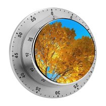 yanfind Timer Images Autumn I Wallpapers Skopje Plant Ohrit Tree Shën Maple Macedonia Pictures 60 Minutes Mechanical Visual Timer