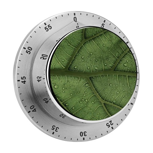 yanfind Timer Clay Banks Leaf Veins Drops Macro Closeup 60 Minutes Mechanical Visual Timer