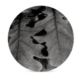 yanfind Ceramic Coasters (round) Tree Trees Leaf Leaves Colorful Young Grow Growing Spring Springtime  Sunshine Family Game Intellectual Educational Game Jigsaw Puzzle Toy Set