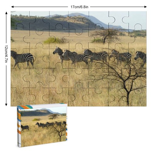 yanfind Picture Puzzle Zebras Ethiopia Africa Zebra Wildlife Terrestrial Grassland  Savanna Shrubland Plant Community Family Game Intellectual Educational Game Jigsaw Puzzle Toy Set