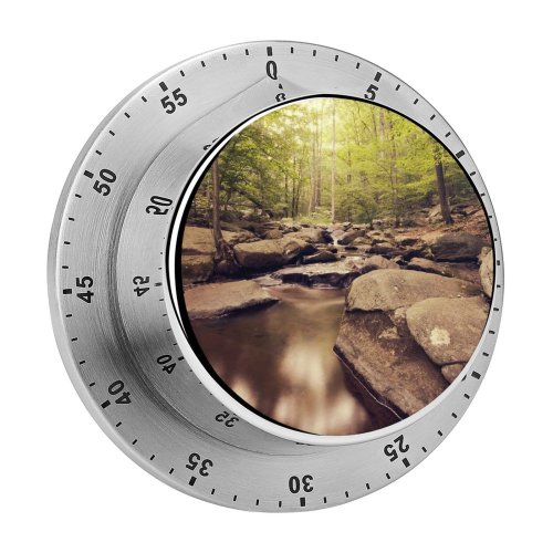 yanfind Timer Forest Trees Woods  Greenery Rocks Scenic Landscape Exposure 60 Minutes Mechanical Visual Timer