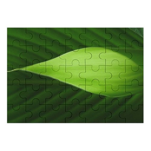 yanfind Picture Puzzle Stuff Leaf Light Banana Plant Botany Flower Macro Petal Family Game Intellectual Educational Game Jigsaw Puzzle Toy Set