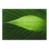 yanfind Picture Puzzle Stuff Leaf Light Banana Plant Botany Flower Macro Petal Family Game Intellectual Educational Game Jigsaw Puzzle Toy Set