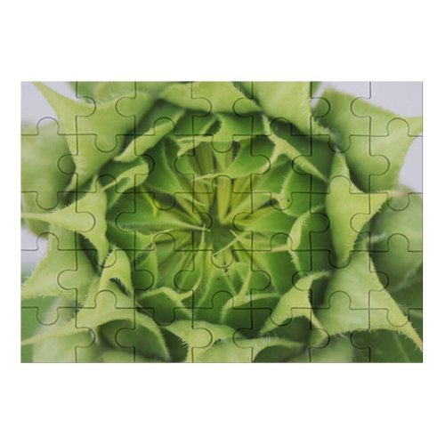 yanfind Picture Puzzle  Flower Spring Mayumi Leaf Plant Flowering Petal Stonecrop Family Family Game Intellectual Educational Game Jigsaw Puzzle Toy Set