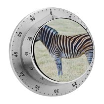 yanfind Timer  Images Wildlife Wallpapers Australia Stripes Zebra Pictures Werribee Grey PNG Park 60 Minutes Mechanical Visual Timer