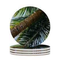 yanfind Ceramic Coasters (round) Images Samshi India Public Wallpapers Plant Tropical Tree Palm Summer Pictures Karnataka Family Game Intellectual Educational Game Jigsaw Puzzle Toy Set