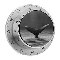 yanfind Timer Images Grizzly  HQ Buckelwal Lodge Waddington Fluke Sea Wallpapers  Sailcone 60 Minutes Mechanical Visual Timer
