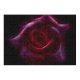 yanfind Picture Puzzle Abstract Rose Flower Blooming Bloom Family Game Intellectual Educational Game Jigsaw Puzzle Toy Set