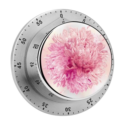 yanfind Timer Arrangement Gentle  Beauty Closeup Wedding Garden Asters Pastel Romantic  Luxury 60 Minutes Mechanical Visual Timer