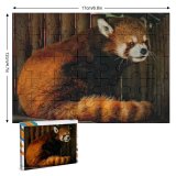 yanfind Picture Puzzle  Pet Wallpapers Pictures Panda Cat Images Wood Roux Free Wildlife Lesser Family Game Intellectual Educational Game Jigsaw Puzzle Toy Set