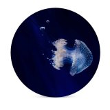 yanfind Ceramic Coasters (round) Vincentiu Solomon Jellyfish Sea  Aquarium Dark Underwater Glowing Transparent Closeup Family Game Intellectual Educational Game Jigsaw Puzzle Toy Set