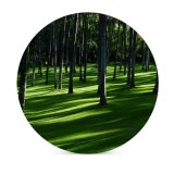 yanfind Ceramic Coasters (round) Grass Trees Woods Daylight Forest Landscape Family Game Intellectual Educational Game Jigsaw Puzzle Toy Set