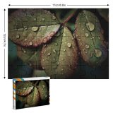 yanfind Picture Puzzle  Leaves Rainy Drops Closeup Macro  HDR Family Game Intellectual Educational Game Jigsaw Puzzle Toy Set