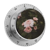 yanfind Timer Images Fall Autumn Flowers Public Wallpapers Dahlia Plant Pollen Warm Cozy Pictures 60 Minutes Mechanical Visual Timer