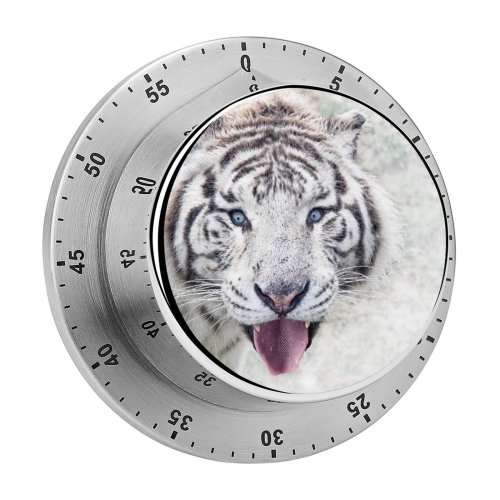 yanfind Timer Wendy Corniquet  Winter 60 Minutes Mechanical Visual Timer