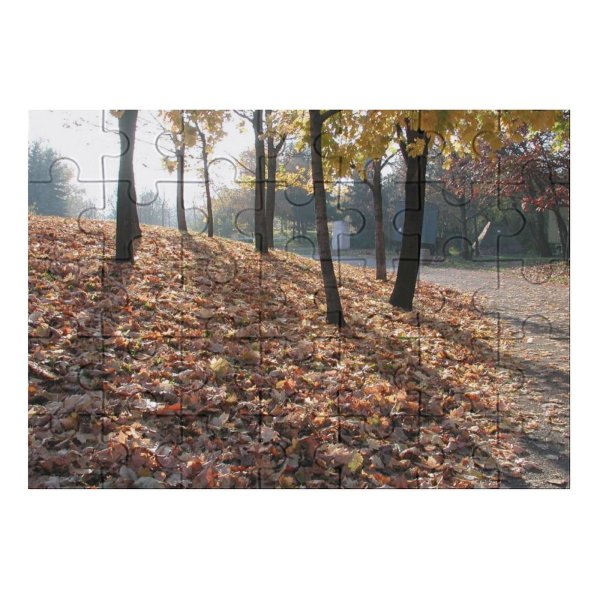 yanfind Picture Puzzle Leaf Tree Deciduous Natural Landscape Autumn Woodland Forest Northern Hardwood Family Game Intellectual Educational Game Jigsaw Puzzle Toy Set