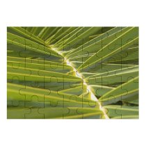 yanfind Picture Puzzle Leaf Terrestrial Plant Vegetation Arecales Palm Tree Flower Family Game Intellectual Educational Game Jigsaw Puzzle Toy Set