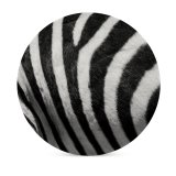yanfind Ceramic Coasters (round) Images Foundation Canyon Texture Wildlife Wallpapers Rancho Stripe Free Lawrence Stripes Silverado Family Game Intellectual Educational Game Jigsaw Puzzle Toy Set