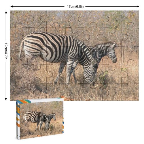 yanfind Picture Puzzle Zebra Wild  Game Kruger National Park Africa Safari Terrestrial Wildlife Vertebrate Family Game Intellectual Educational Game Jigsaw Puzzle Toy Set