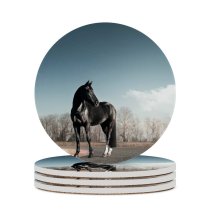 yanfind Ceramic Coasters (round) Horse Race Clear Sky Family Game Intellectual Educational Game Jigsaw Puzzle Toy Set