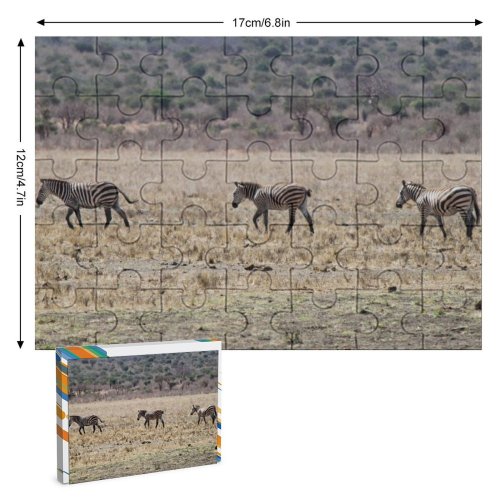 yanfind Picture Puzzle Zebras Zebra Follow Following Savannah Savanna Wildlife Vertebrate Terrestrial Safari  Grassland Family Game Intellectual Educational Game Jigsaw Puzzle Toy Set