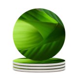yanfind Ceramic Coasters (round) Stuff Leaf Light Plant Texture Uglyhero Banana Botany Flower Petal Macro Family Game Intellectual Educational Game Jigsaw Puzzle Toy Set