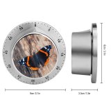 yanfind Timer Antenna Insect Autumn Nymphalid Natural Admiral Beauty Butterfly Wing Outdoors Hungary Arthropod 60 Minutes Mechanical Visual Timer