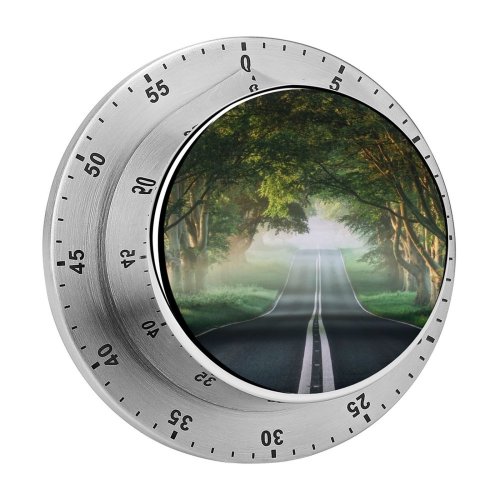 yanfind Timer Andrew Campbell Forest Road Mist Avenue Trees Plants Spring Foggy 60 Minutes Mechanical Visual Timer
