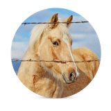 yanfind Ceramic Coasters (round) Horse Fence Portrait Bokeh Family Game Intellectual Educational Game Jigsaw Puzzle Toy Set