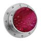 yanfind Timer Flowers Tulip Petal Tulip Flower Closeup Macro Drops Dew Drops Spring Vibrant 60 Minutes Mechanical Visual Timer