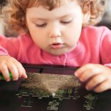 yanfind Picture Puzzle Road Forest Alley Wood Tree Campinas Stone Brick Flora Fall Trees Season Family Game Intellectual Educational Game Jigsaw Puzzle Toy Set
