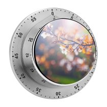 yanfind Timer Blooming  Blossoming Bloom Growth Sakura Beauty Cherry Closeup Garden Insect Detail 60 Minutes Mechanical Visual Timer