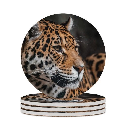 yanfind Ceramic Coasters (round) Mike Van Den Bos Leopard Wildlife Jaguar Closeup ARTIS Amsterdam Netherlands Family Game Intellectual Educational Game Jigsaw Puzzle Toy Set