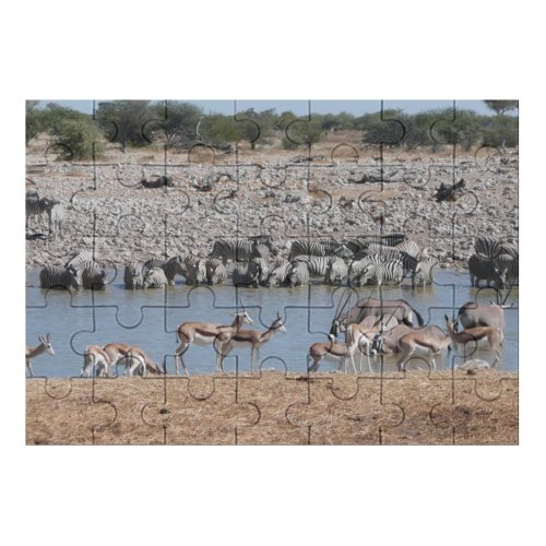 yanfind Picture Puzzle Zebra Watering Hole Safari Namibia Etosha Springbok Vertebrate Wildlife  Impala Terrestrial Family Game Intellectual Educational Game Jigsaw Puzzle Toy Set